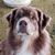 Tracey Emmerick Takeuchi's profile image