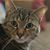 Lori Jordan Gibbs's profile image