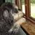 Lucia Fischer's profile image