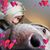 Amy Vollenweider- Simonds's profile image