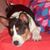 Peggy Wright's profile image