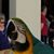 Wanda Lemmer's profile image
