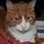 Jeff Jones's profile image
