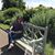 Megan Bitner's profile image