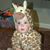 Griffin Deming's profile image