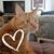 Penny R Burkard's profile image