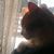 Jennifer Atkinson Leatherman's profile image