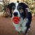 Cindy Rowe's profile image