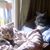 Susan Ogle Edwards's profile image