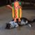 Chris Moffatt's profile image