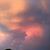 Lisa Marie Howle's profile image