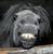 granny a.'s profile image