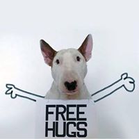 Mark Wheeler's profile image