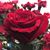 Miriam Hernandez's profile image