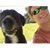 Ryan Holbert's profile image