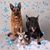 Rannah Jeane McIntosh's profile image