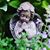 Georgia Linders's profile image