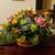 Terri DeStafeno's profile image