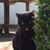 Connie Olson's profile image