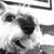 David James Rowland's profile image