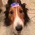 Sherri Meier Birklund's profile image