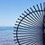 Tracy M Lynd's profile image