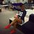 Mesha Knox's profile image