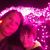 Sara Pettyjohn's profile image
