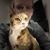 Karen Huria's profile image
