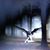 Leticia Galindo's profile image