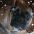 Linda Andersen's profile image