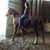 Jolenne Girard's profile image