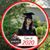 Tracy Bakken's profile image