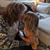 Helen Volk Adams's profile image