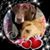Dawn Matthews's profile image