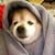 Jean Selby's profile image