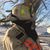 Tracey Steffes's profile image