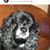 Glen P Strasser's profile image
