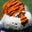 Jaret Bates's profile image