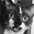 Joyce Clark's profile image