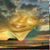 Izella Walker's profile image