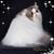 Michelle Miles's profile image