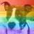 Tracy Smith's profile image