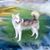 Robyn Morgan's profile image