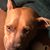 Todd Wiater's profile image