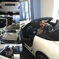 Renata Mihokova Klimkova's profile image