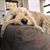 Carrie Hicks Conroy's profile image