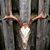 Dalton Ray's profile image