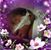Jamie Eccles's profile image