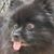 Sheila OBrien's profile image